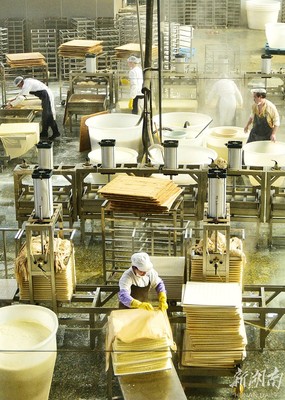 小豆腐成就大產業——豆制品銷售的市場機遇與前景